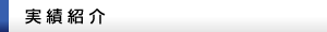 実績紹介